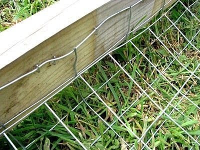 digging barrier to stop dog from digging