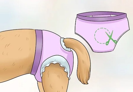 dog diaper hack using modified underwear