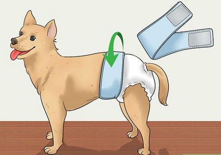 dog diapers using secure tapes