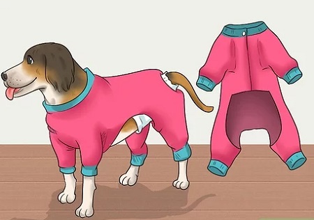 keep-dog-diapers-using-onesie