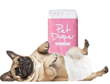 where to buy dog diapers online