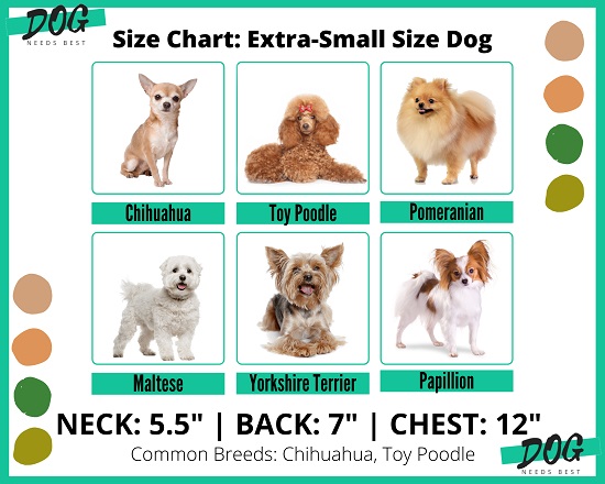 Dog sizing chart for extra small dogs