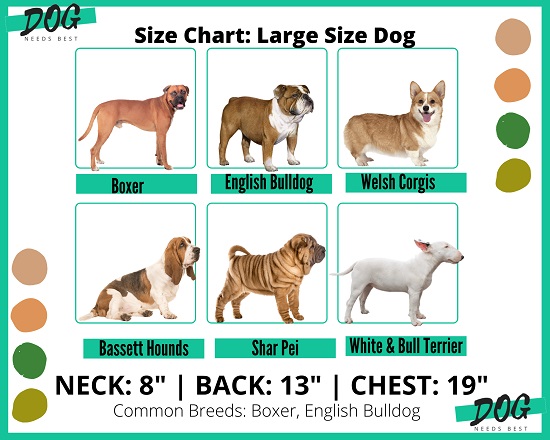 Dog sizing chart for large size dogs