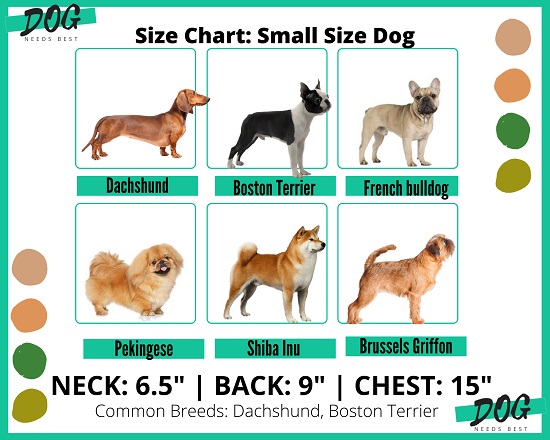 Dog sizing chart for small dogs