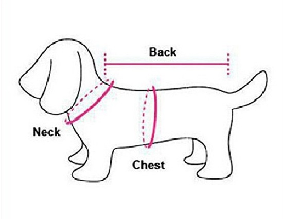 How to measure a dog for clothes