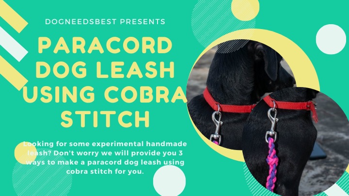 Paracord dog Leash Using Cobra Stitch