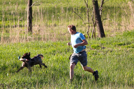 Things to avoid when your dog has got off-leash Things to avoid when your dog has got off-leash