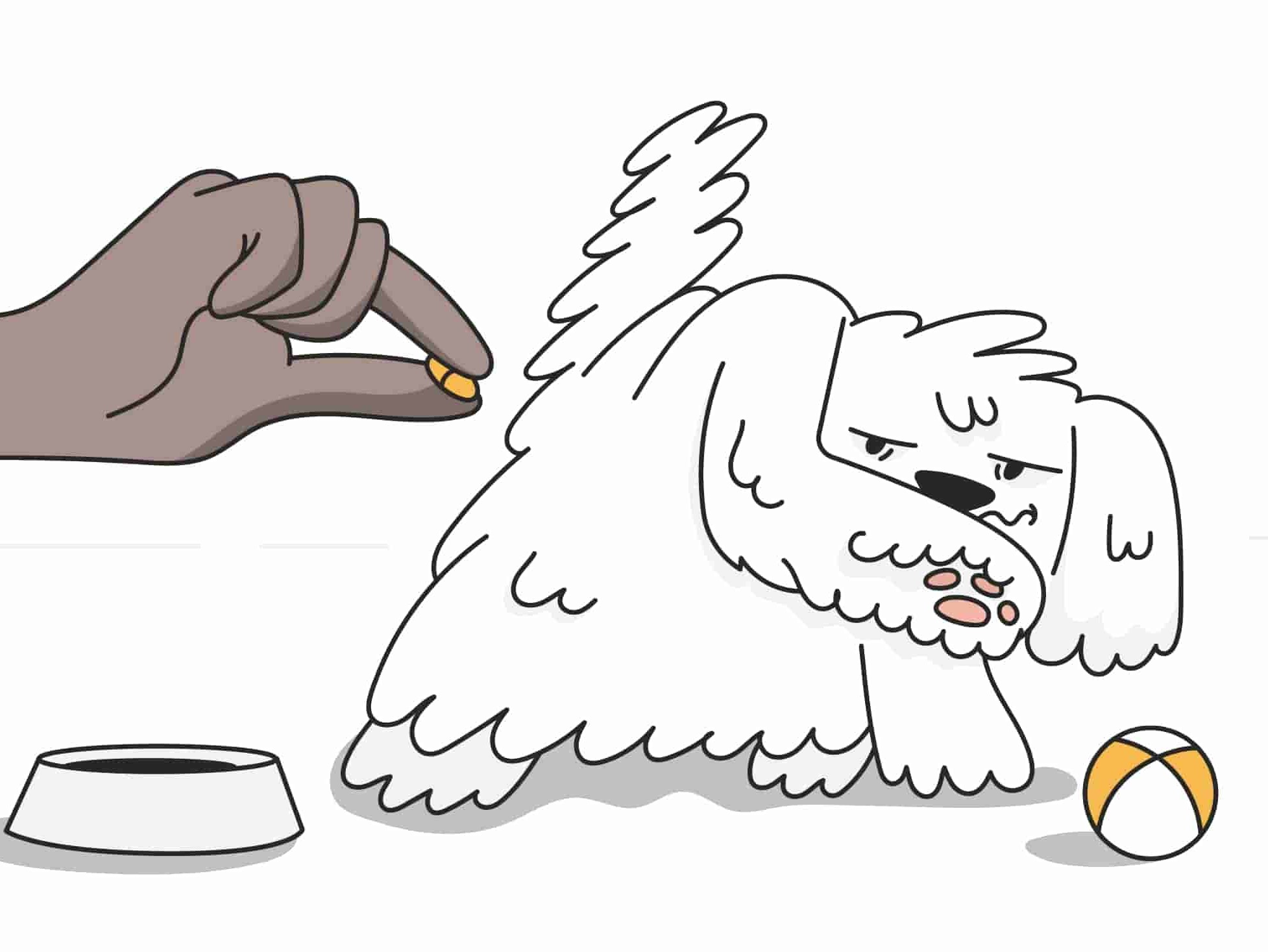 Carprofen For Dogs A Comprehensive Guide DogNeedsBest