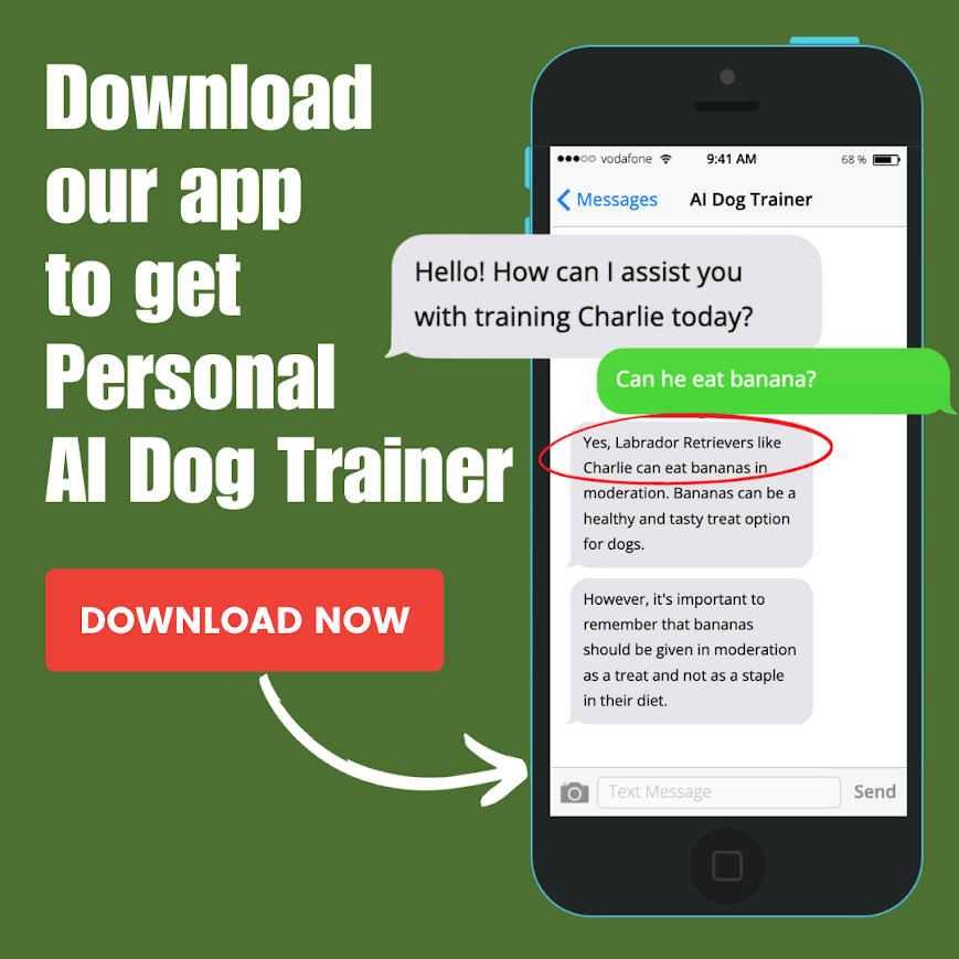 Train My Dog App
