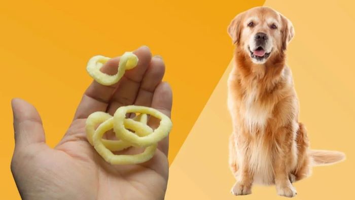 funyuns for dogs